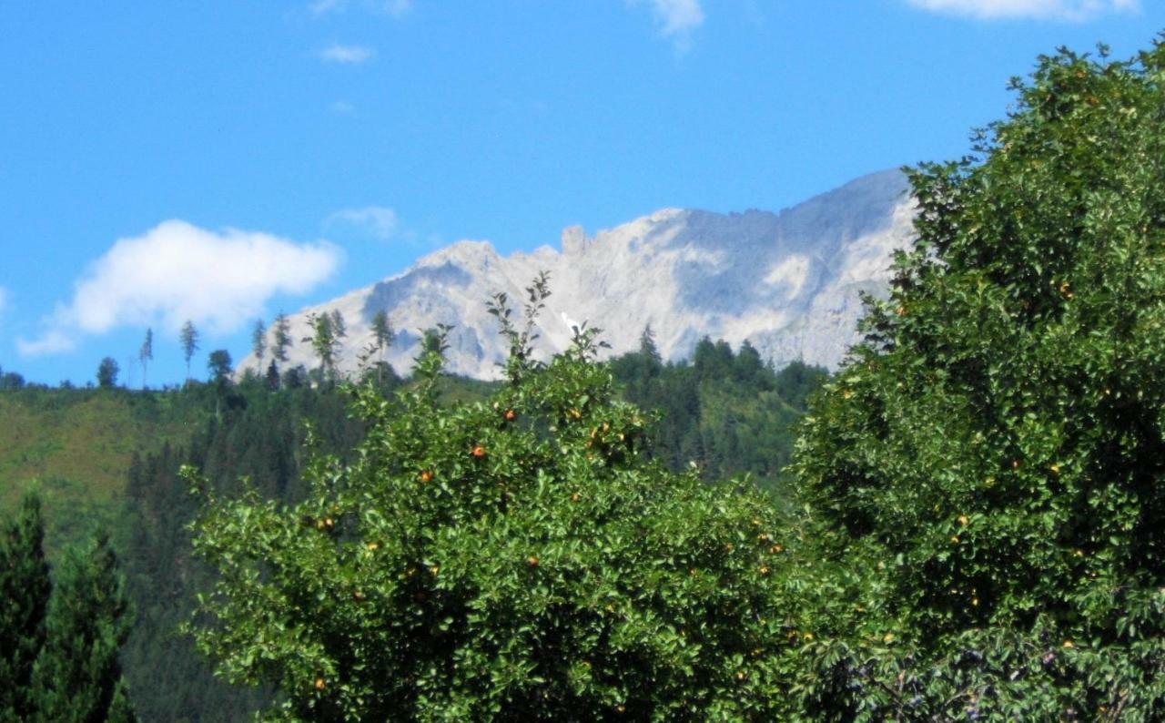 Appartement Romana - Altstadt Schladming Zewnętrze zdjęcie